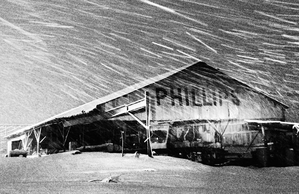 Phillips Forest Products sawmill photo